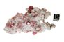 garnet raspberry 07b garnet raspberry 07b
