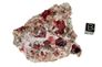 garnet raspberry 08b garnet raspberry 08b