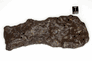 Glorietta iron-pallasite