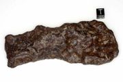Glorietta iron-pallasite