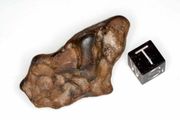 Glorietta iron-pallasite meteorite, 