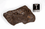 Glorietta iron-pallasite meteorite, medium
