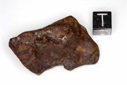 Glorietta iron-pallasite meteorite, medium