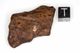 Glorietta iron-pallasite meteorite, medium