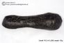  Huge 102 gram Tektite - Dumbbell