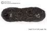 Huge 139 gram Tektite - Dumbbell