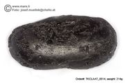  Huge 214 gram Tektite - Dumbbell