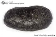  Huge 214 gram Tektite - Dumbbell
