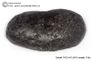  Huge 214 gram Tektite - Dumbbell