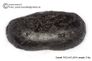  Huge 214 gram Tektite - Dumbbell