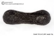 Huge 55 gram Tektite - Dumbbell