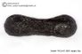 Huge 55 gram Tektite - Dumbbell