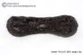 Huge 55 gram Tektite - Dumbbell