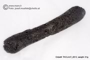 Huge 61 gram Tektite - Dumbbell