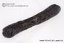 Huge 61 gram Tektite - Dumbbell