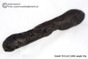 Huge 65 gram Tektite - Dumbbell
