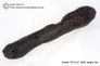 Huge 65 gram Tektite - Dumbbell