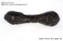 <B> Sold!</B> Huge 70 gram Tektite - Dumbbell