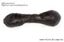 Huge 70 gram Tektite - Dumbbell