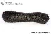  Huge 71 gram Tektite - Dumbbell