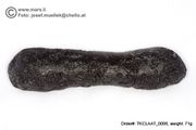  Huge 71 gram Tektite - Dumbbell