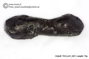  Huge 79 gram Tektite - Dumbbell