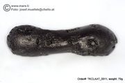 Huge 79 gram Tektite - Dumbbell