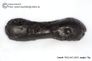 Huge 79 gram Tektite - Dumbbell