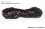  Huge 79 gram Tektite - Dumbbell