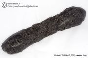 Huge 84 gram Tektite - Dumbbell