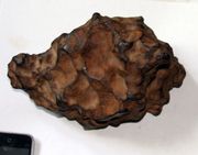 Iron Meteorite Eisenmeteorit