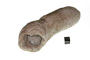 Life - Stone (White Prophet Stone) Life - Stone (White Prophet Stone)