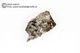 Mars, Shergottite, LA 001, 152mg Mars, Shergottite, LA 001, 152mg