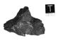 Iron Shale from a meteorite from Muonionalusta, Sweden 17.3gr Iron Shale from a meteorite from Muonionalusta, Sweden 17.3gr