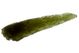 Moldavite drops  museum quality 15.13g