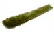 Moldavite drops  museum quality 15.23g