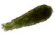 Moldavite drops  museum quality 17.56g