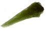 Moldavite drop  museum quality 21.94g