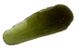 Moldavite drops  museum quality 22.96g