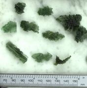 Moldavite finest Besednice lot of 10  