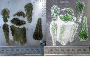 Moldavite, finest hedgehodge type from Besednice