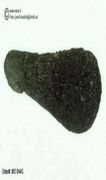 Moldavite museum appr. 4.5 to 5.6 g sizes - wholesale