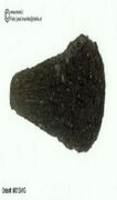 Moldavite museum quality appr. 1.5-2g 
