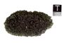Moldavite museum quality large 39.04g
