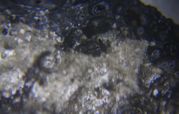 Muongnong type tektite 