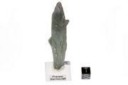Museum quality Prasem green quartz #D9