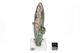 Museum quality Prasem green quartz #D9 Museum quality Prasem green quartz #D9