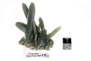 SOLD! Verkauft! top Museum quality Prasem green quartz cluster