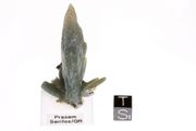 Museum quality Prasem green quartz cluster 