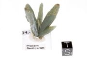 Museum quality Prasem green quartz cluster #6